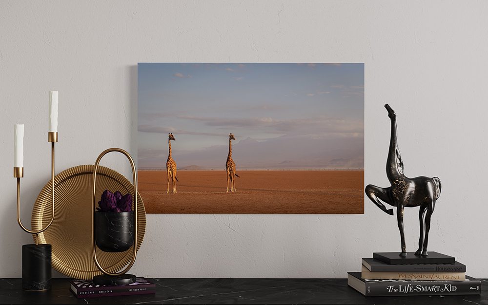 Colors of the Wind 2 - Image 2