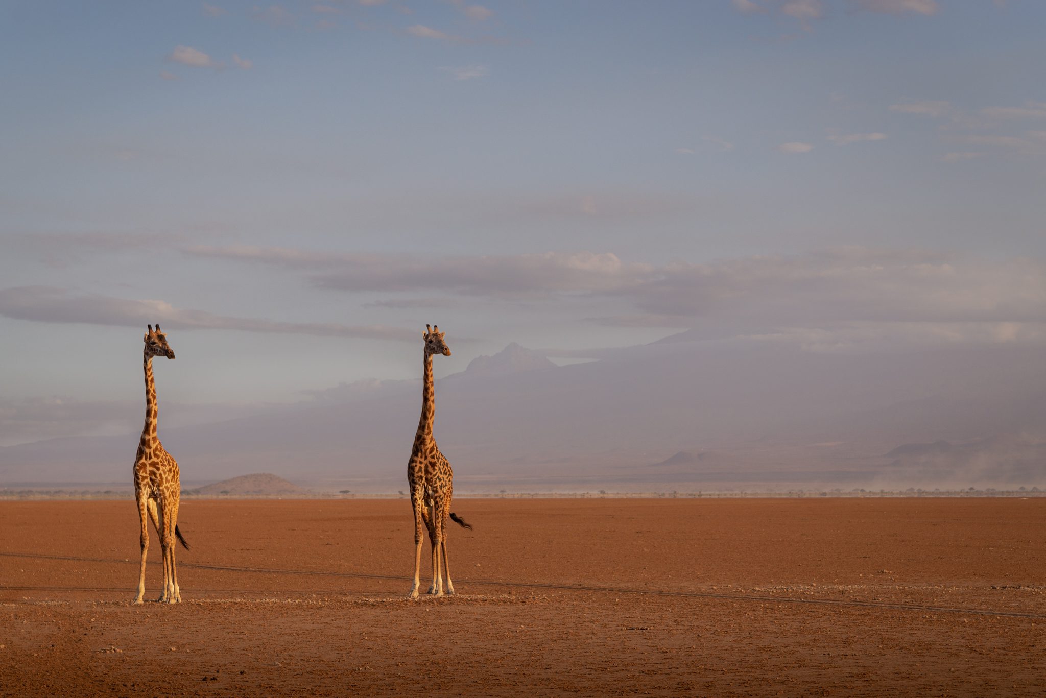 Colors of the Wind 2 - Image 3