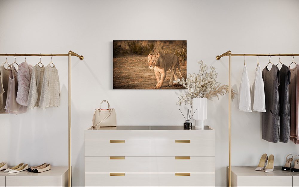 Colors of the Wind 3 - Image 2